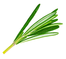 La Petite Cabane Fromagerie Charcuterie Carqueiranne Slider 1